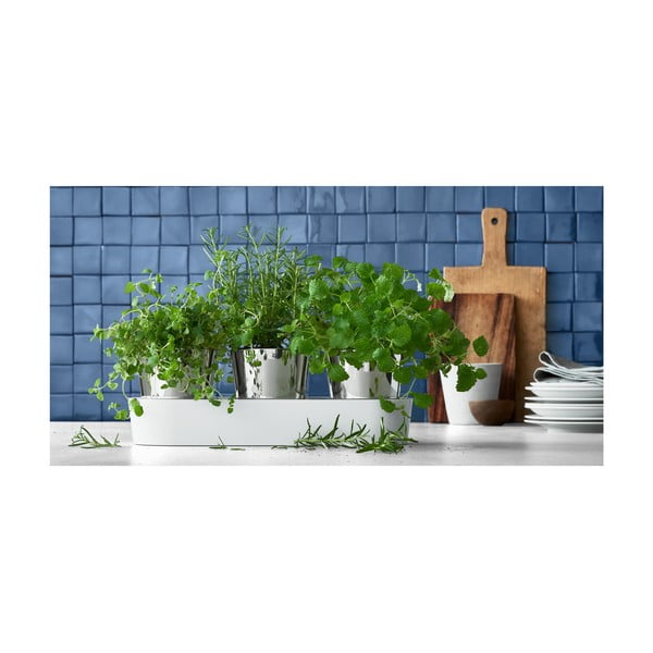 Set s 3 posude od nehrđajućeg čelika za biljke WMF Gourmet-image-1