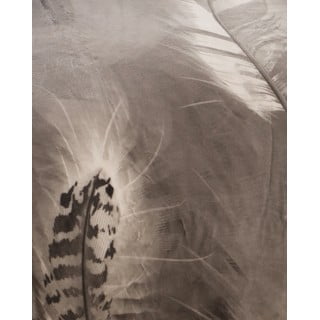 Siva posteljina za krevet za jednu osobu od mikropliša 140x200 cm – My House