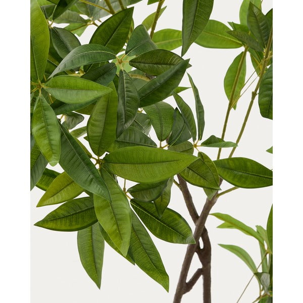 Umjetna biljka (visina 180 cm) Pachira – Kave Home-image-1