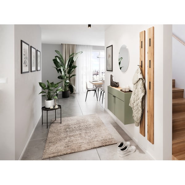 Kadulja zeleni ormarić 110x57x22 cm Ameca – Germania-image-1