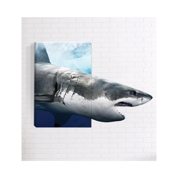 Zidna 3D slika Mosticx Shark, 40 x 60 cm