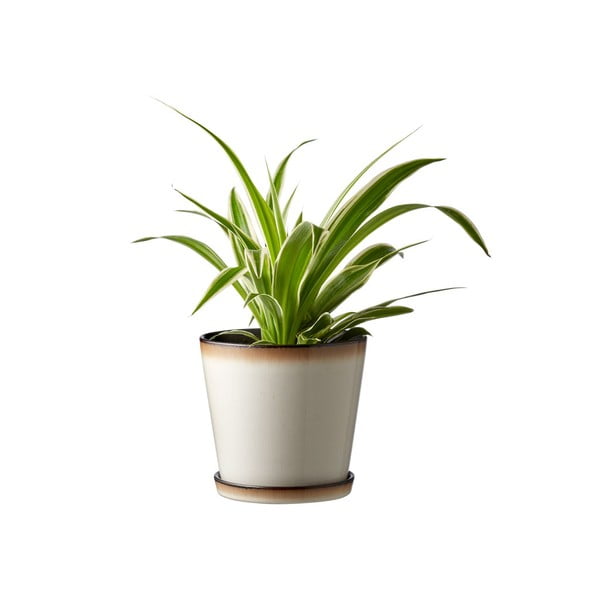 Posuda za cvijeće od kamenine ø 14 cm Gastro  – Bitz-image-1