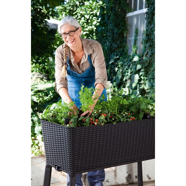 Tegla za cvijeće Easy Grow – Keter-image-3