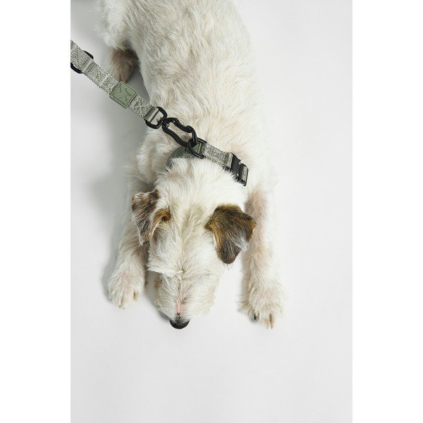 Zeleni ogrlica S/M dužina 32 cm Modena Grolive S/SM – MiaCara-image-1