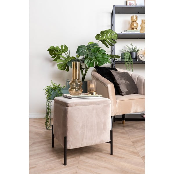 Crni baršunasti jastuk PT LIVING Tender, 40 x 40 cm-image-4