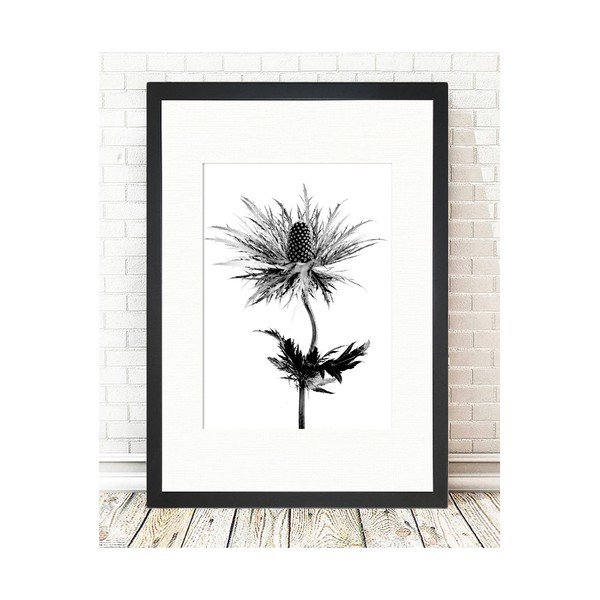 Poster Tablo Center Thistle Vibes, 24 x 29 cm-image-1