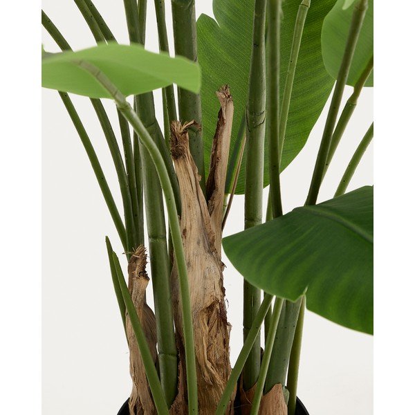Umjetno stablo banane (visina 210 cm) – Kave Home-image-1