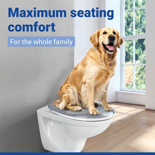 WC daska s automatskim zatvaranjem 36,8 x 43 Fleur – Allstar-image-1