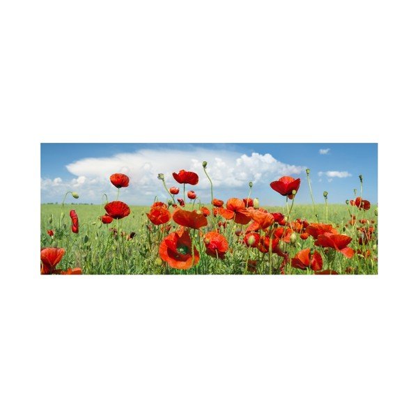 Staklena slika Insigne Saskia, 92 x 36 cm-image-1