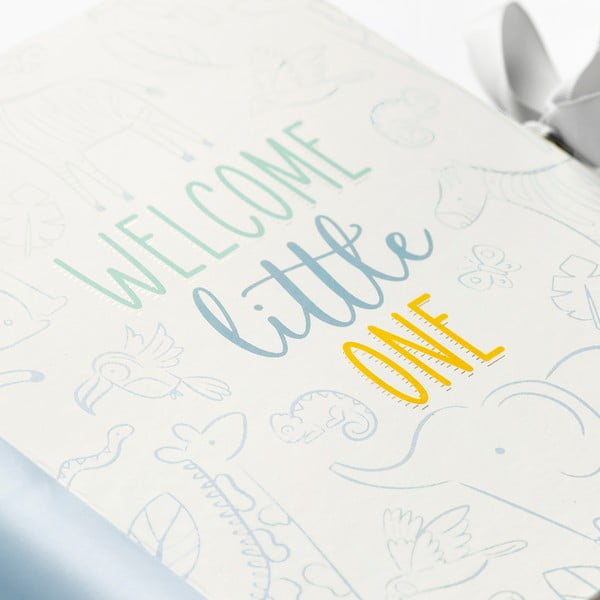 Dnevnik za bebu 98 str. Blue – Busy B-image-1