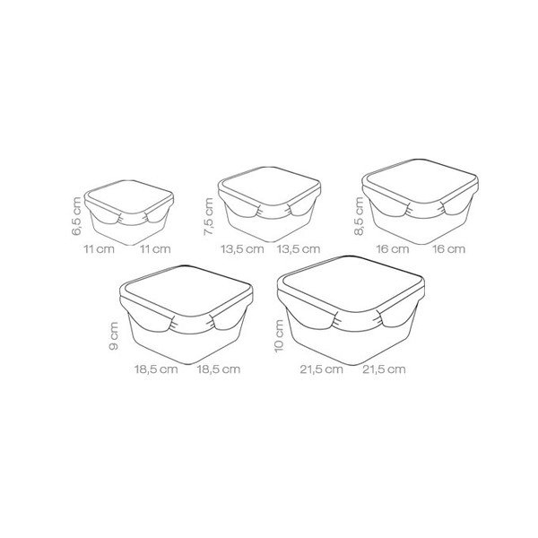 Kutije za hranu 5 kom Freshbox - Tescoma-image-2