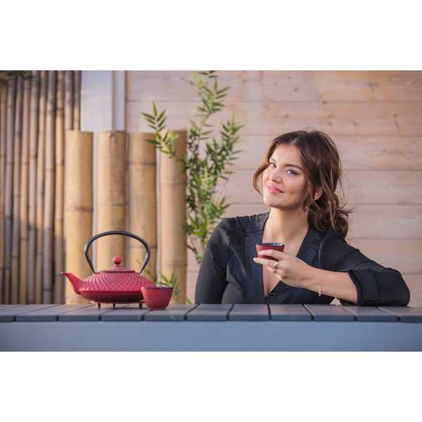 Crveni čajnik od lijevanog željeza s cjediljkom za rastresiti čaj Bredemeijer Xilin, 1,25 l-image-4