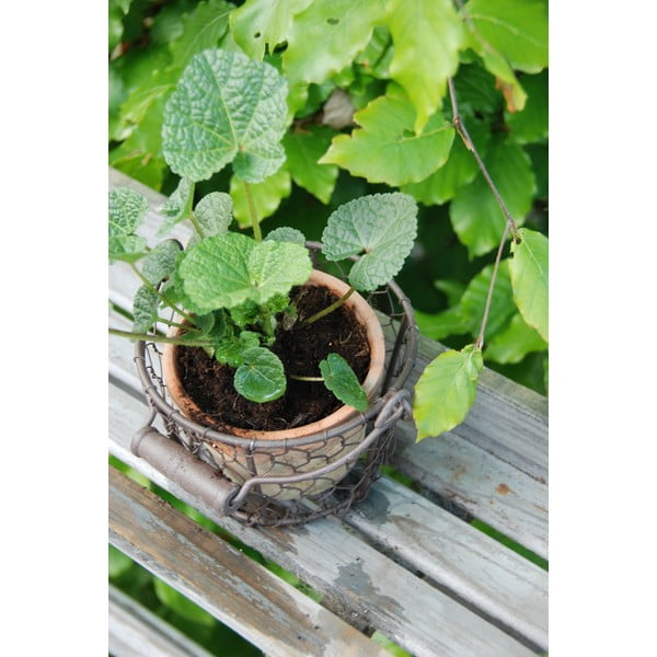 Ručno rađena posuda za cvijeće od terakote ø 12 cm – Esschert Design-image-2