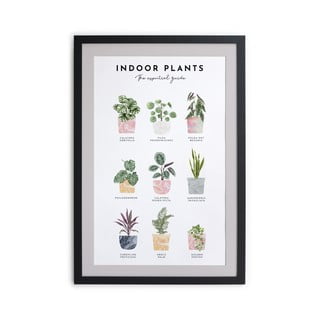 Zidna slika u okviru Really Nice Things Indoor Plants, 30 x 40 cm