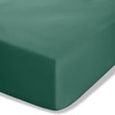 Tamno zelena plahta s gumom od perkala 90x190 cm Easy Iron Percale – Catherine Lansfield