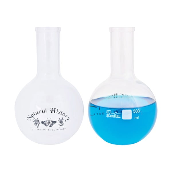 Staklena vaza (visina 23 cm) Natural History – Esschert Design-image-2