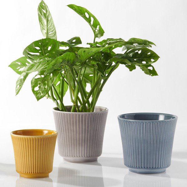 Žuta keramička tegla Big pots, ø 12 cm-image-1