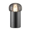 LED vanjska svjetiljka s mogućnosti zatamnjivanja s USB ø 10 cm Iris – Blomus