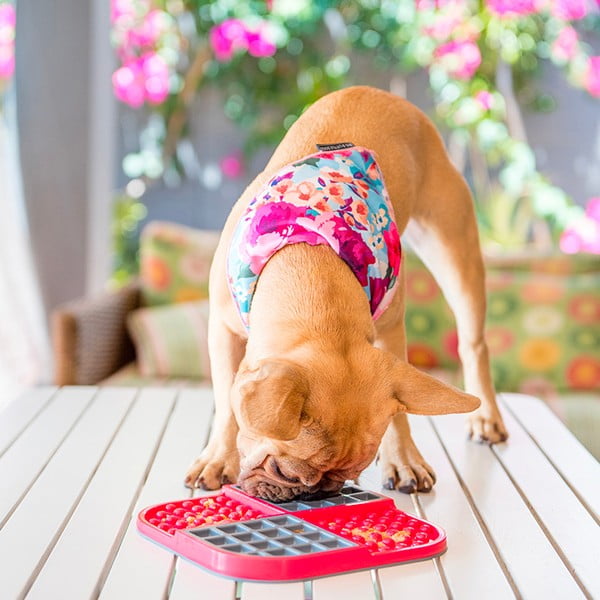 Hranilica/podloga za lizanje za ljubimce Slomo Red – LickiMat-image-1