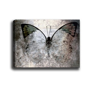 Slika Tablo Center Fading Butterfly, 70 x 50 cm