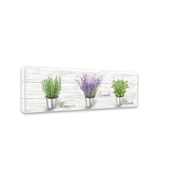 Slika Styler Canvas Shabby Herbs, 27 x 75 cm-image-2