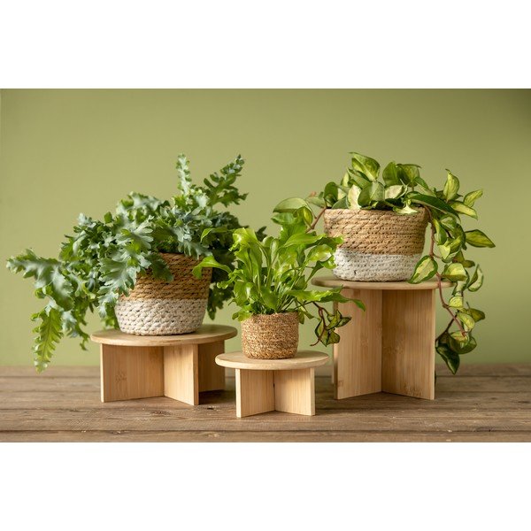 Bambusov stalak za tegle za cvijeće ø 25 cm (visina 19,5 cm) – Esschert Design-image-3