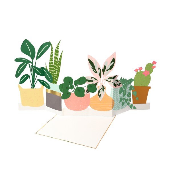 Čestitka Potted Plant – Meri Meri