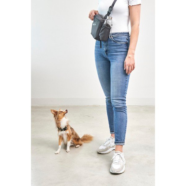 Torba za šetanje psa Andiamo Asphalt – MiaCara-image-3