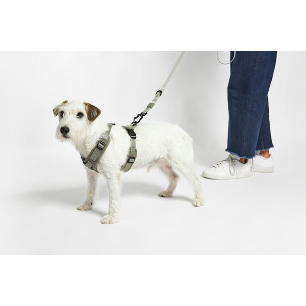 Zeleni uprtač S dužina 30 cm Modena Grolive S – MiaCara-image-2