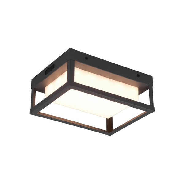 LED vanjska zidna svjetiljka (visina 24 cm) Witham - Trio-image-2