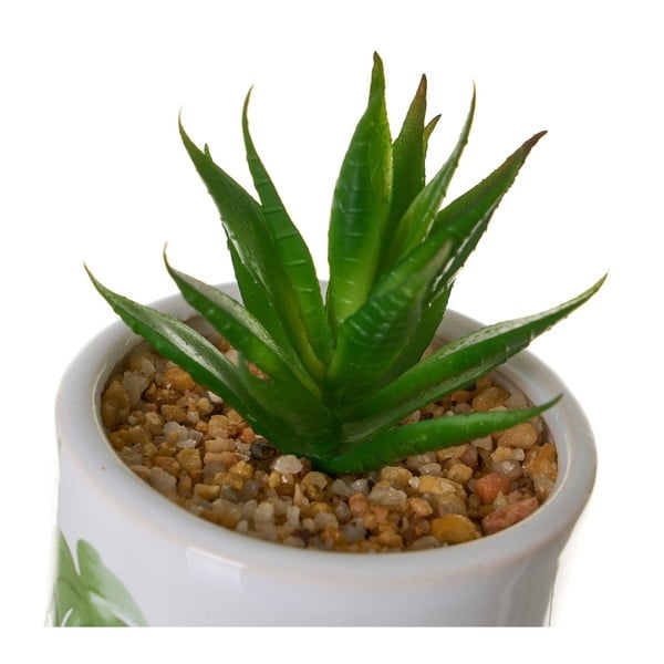 Umjetne biljke u setu 4 kom Cactus – Casa Selección-image-1