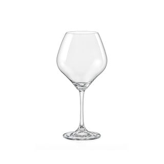 Set od 2 vinske čaše Crystalex Amoroso, 450 ml