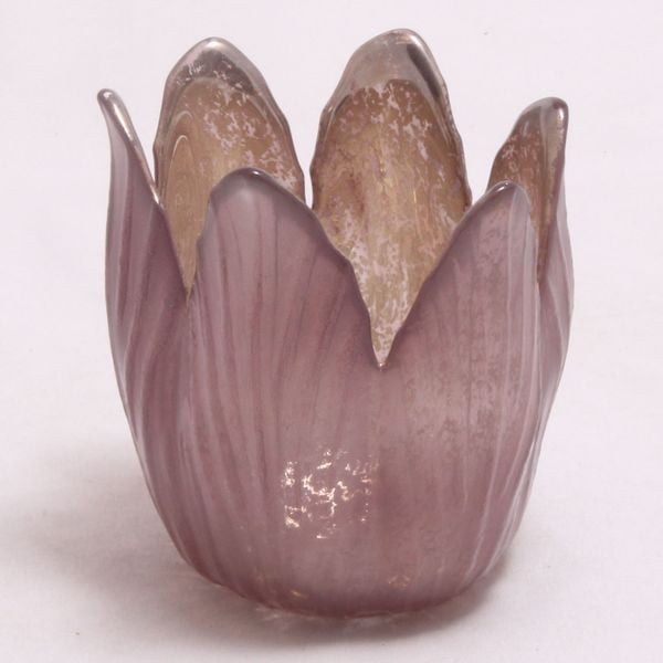 Ružičasti atrij u obliku Dakls cvijeta