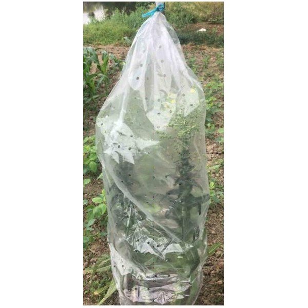 Vrtna cerada 5 kom – Garden Pleasure