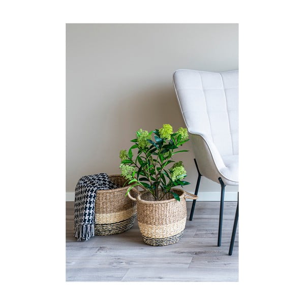 Umjetna biljka Skimmia - House Nordic-image-2