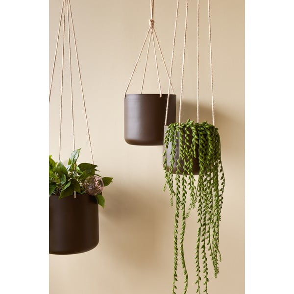 Metalne viseće i zidne navlake za tegle u kompletu 3 kom ø 25 cm Bloom – Hübsch-image-1