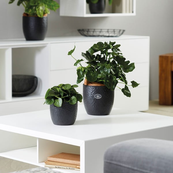 Keramička posuda za cvijeće ø 27 cm Boston Mate - Big pots-image-1