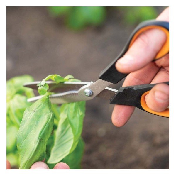 Škare od nehrđajućeg čelika za rezanje začinskog bilja i povrća Fiskars Solid Veggie-image-1