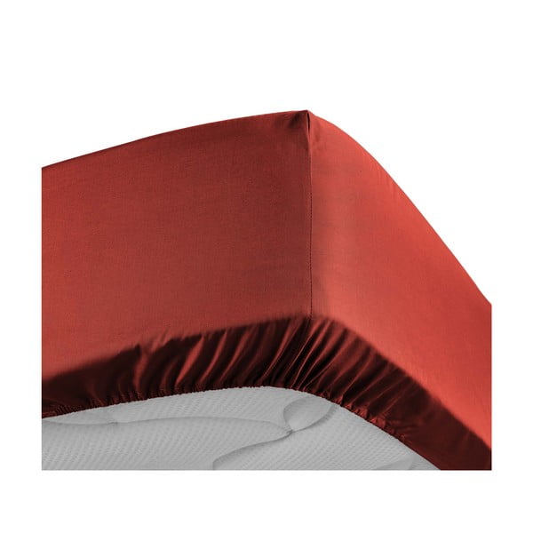 Ciglasta plahta s gumom od pamučnog perkala 180x200 cm Percaline – douceur d'intérieur-image-3