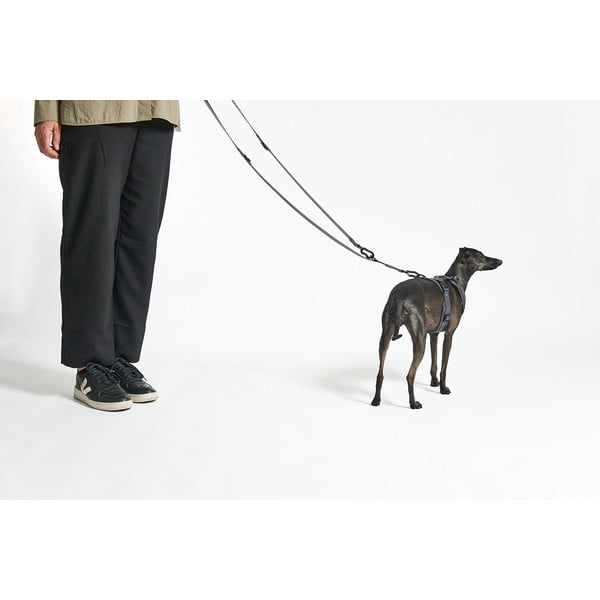 Bež preklopni povodac dužina 200 cm Modena Greige 20 mm – MiaCara-image-2