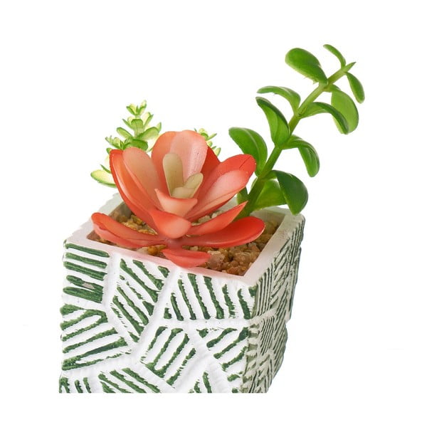 Umjetne biljke u setu 3 kom (visina 12 cm) Cactus – Casa Selección-image-3