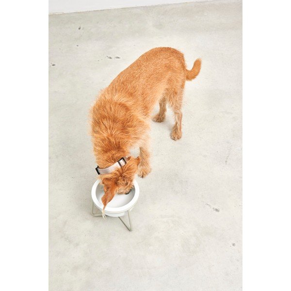 Porculanska posuda s postoljem za pse ø 20 cm Pranzo Greige M – MiaCara-image-4