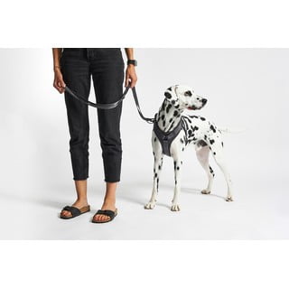 Tamno sivi uprtač L dužina 42 cm Modena Asphalt L – MiaCara