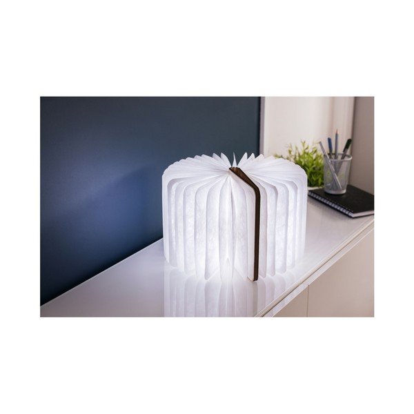 Svjetlosni ukras s USB u prirodnoj boji Booklight – Gingko-image-3