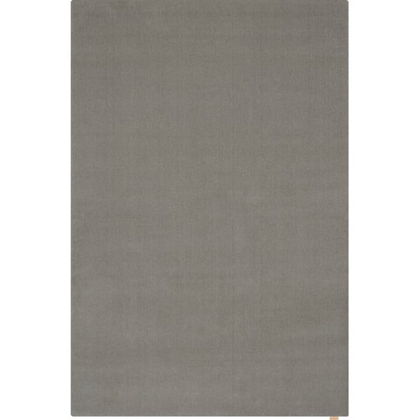 Sivi vuneni tepih 200x300 cm Calisia M Smooth – Agnella