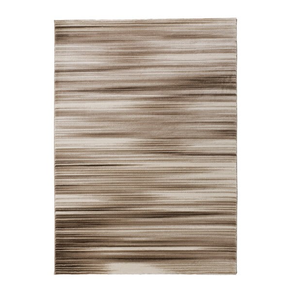 Univerzalni tepih Pisa, 160 x 230 cm