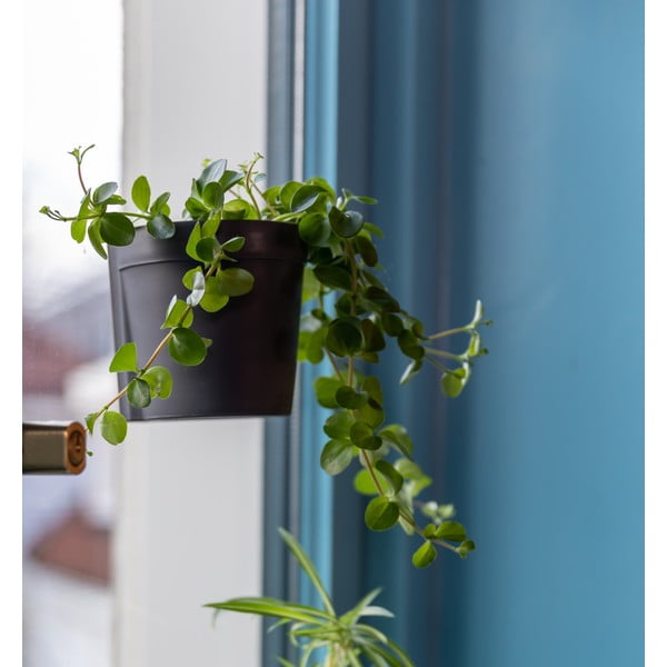 Plastične viseće i zidne posude za cvijeće u setu 2 kom ø 10 cm – Esschert Design-image-4