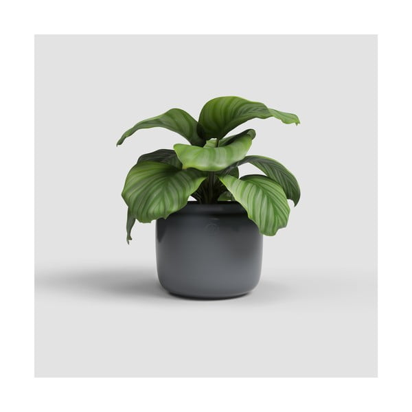 Keramička ručno rađena tegla za cvijeće ø 20 cm Astrea – Artevasi-image-1