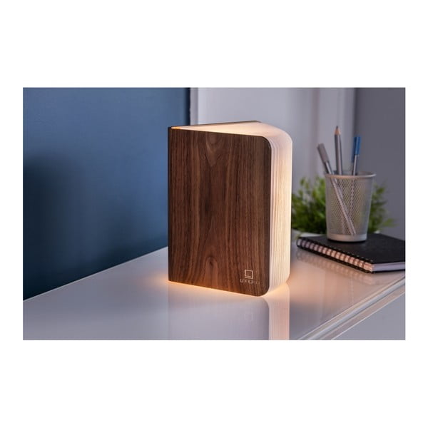 Smeđi svjetlosni ukras s USB Booklight – Gingko-image-4