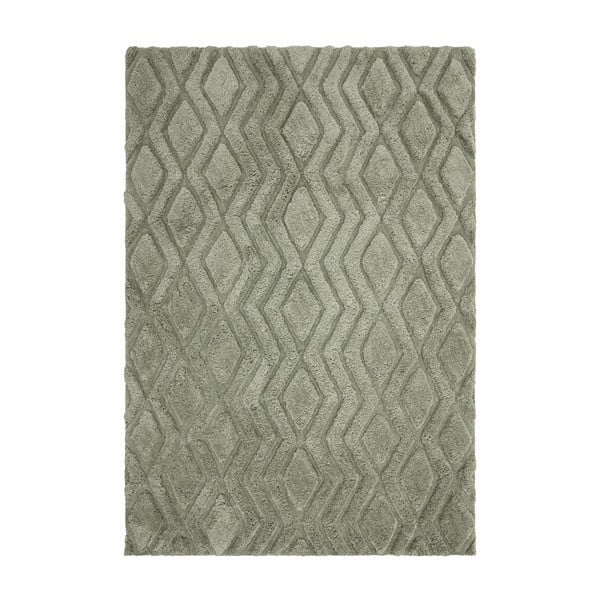 Zeleni tepih 230x160 cm Harrison - Asiatic Carpets